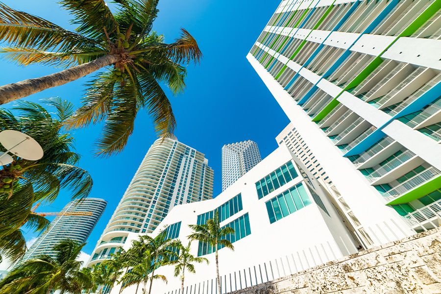 Business Insurance - Skyscrapers and Palm Trees in Downtown Miami on a Sunny Day